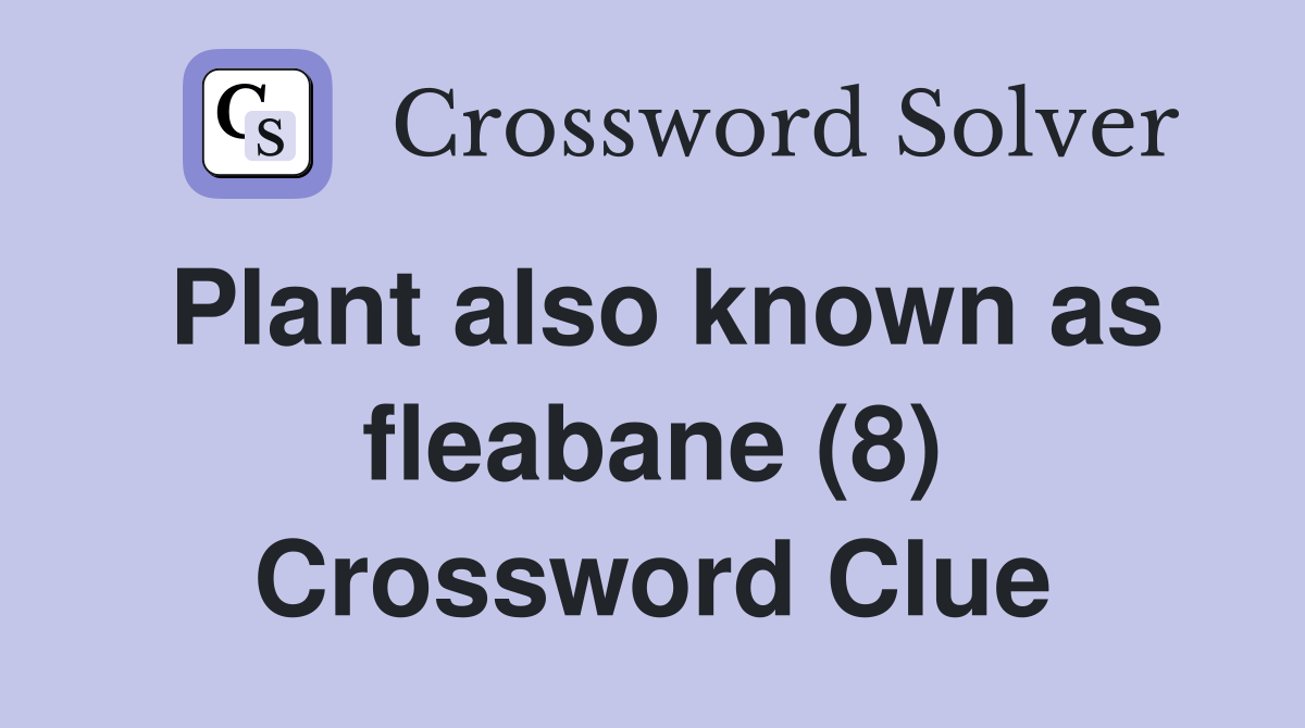 Plant also known as fleabane (8) Crossword Clue