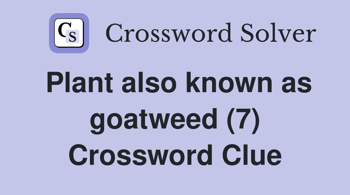 Plant also known as goatweed (7) Crossword Clue
