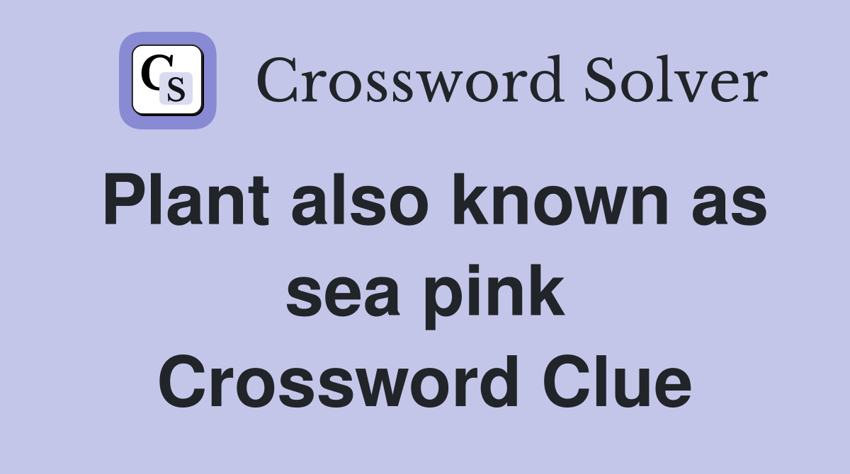 Plant also known as sea pink Crossword Clue