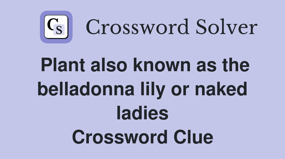 Plant also known as the belladonna lily or naked ladies Crossword Clue