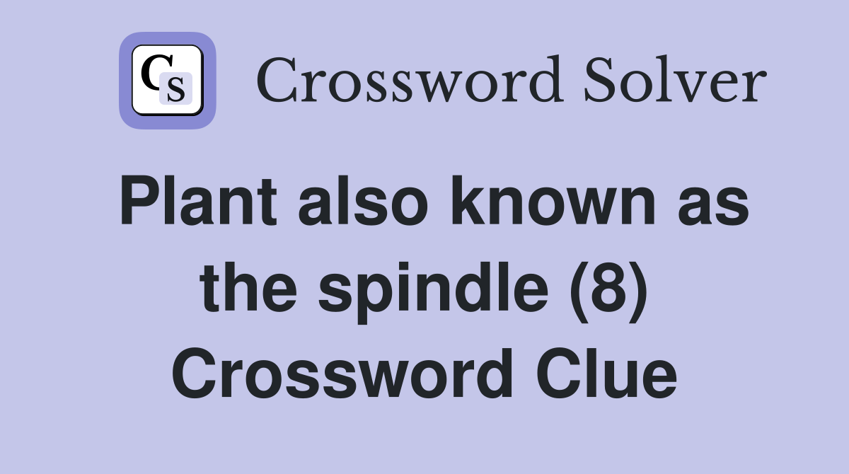 Plant also known as the spindle (8) Crossword Clue