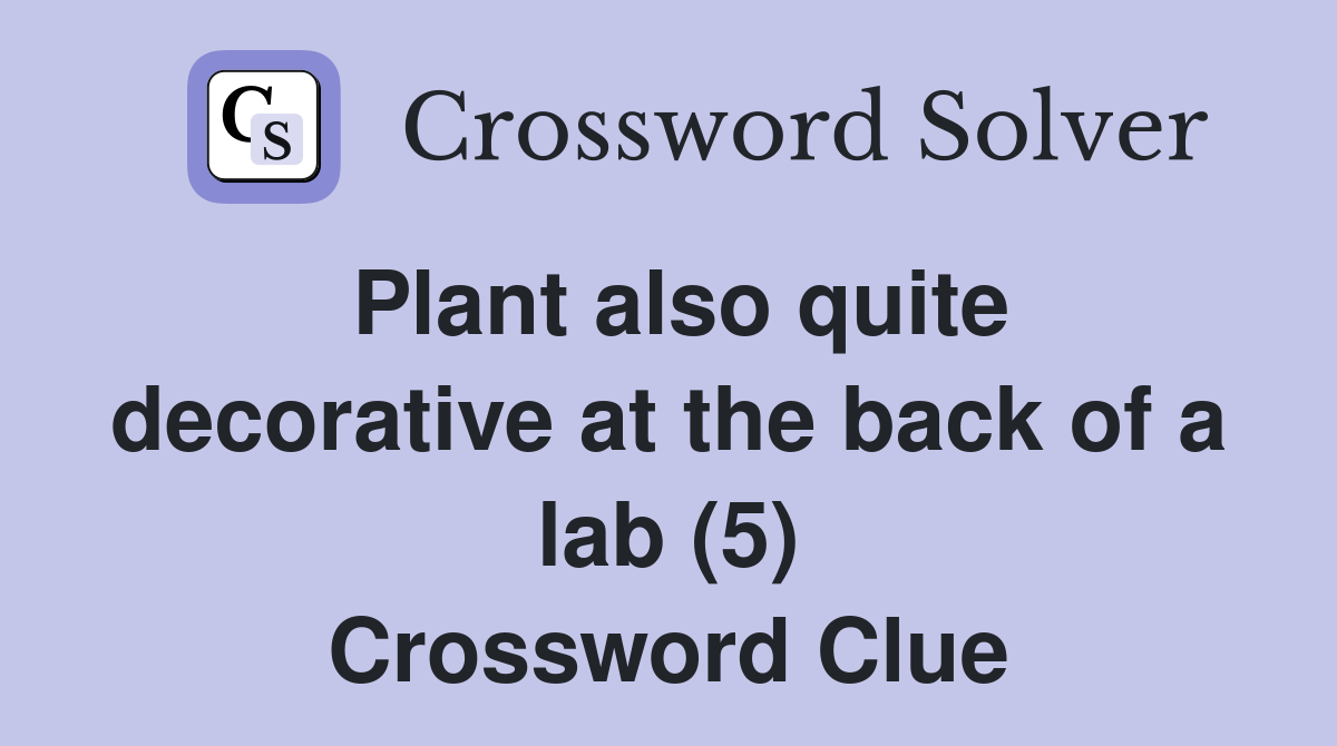 Plant also quite decorative at the back of a lab (5) Crossword Clue