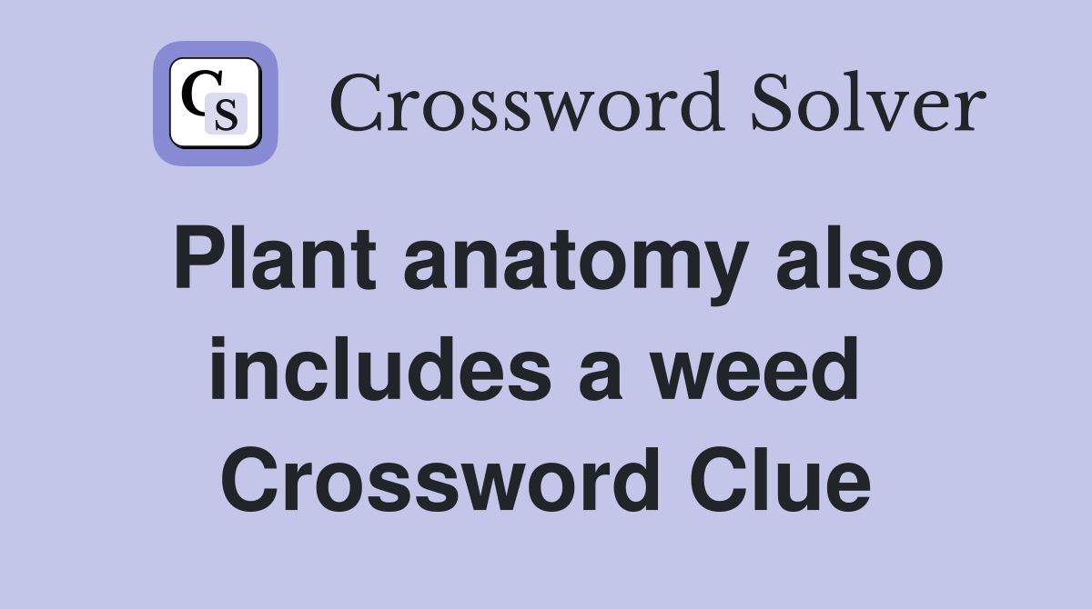 Plant anatomy also includes a weed  Crossword Clue