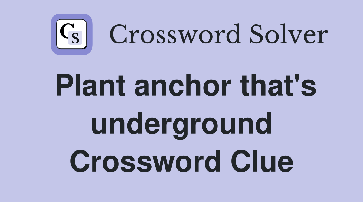 Plant anchor that's underground Crossword Clue