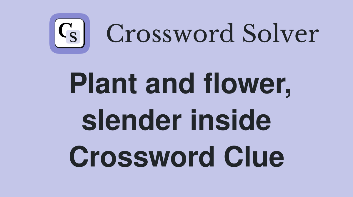 Plant and flower, slender inside Crossword Clue
