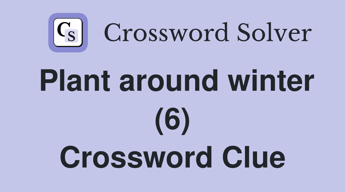 Plant around winter (6) Crossword Clue