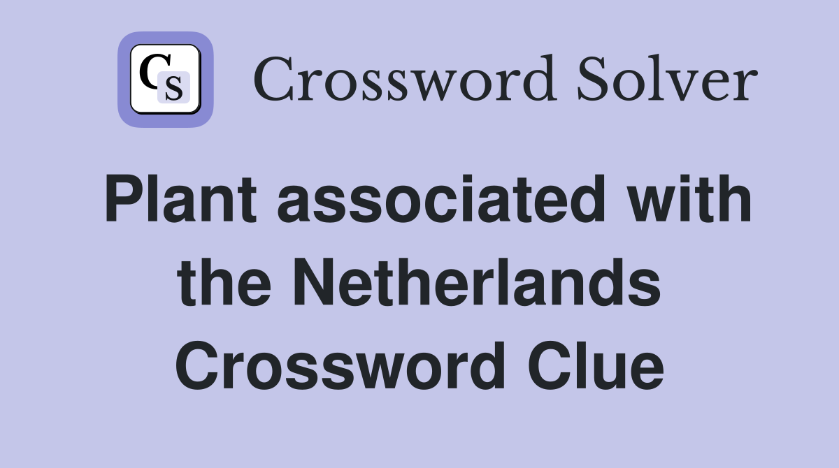 Plant associated with the Netherlands Crossword Clue