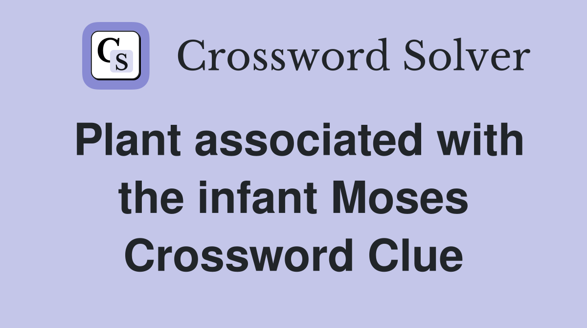 Plant associated with the infant Moses Crossword Clue