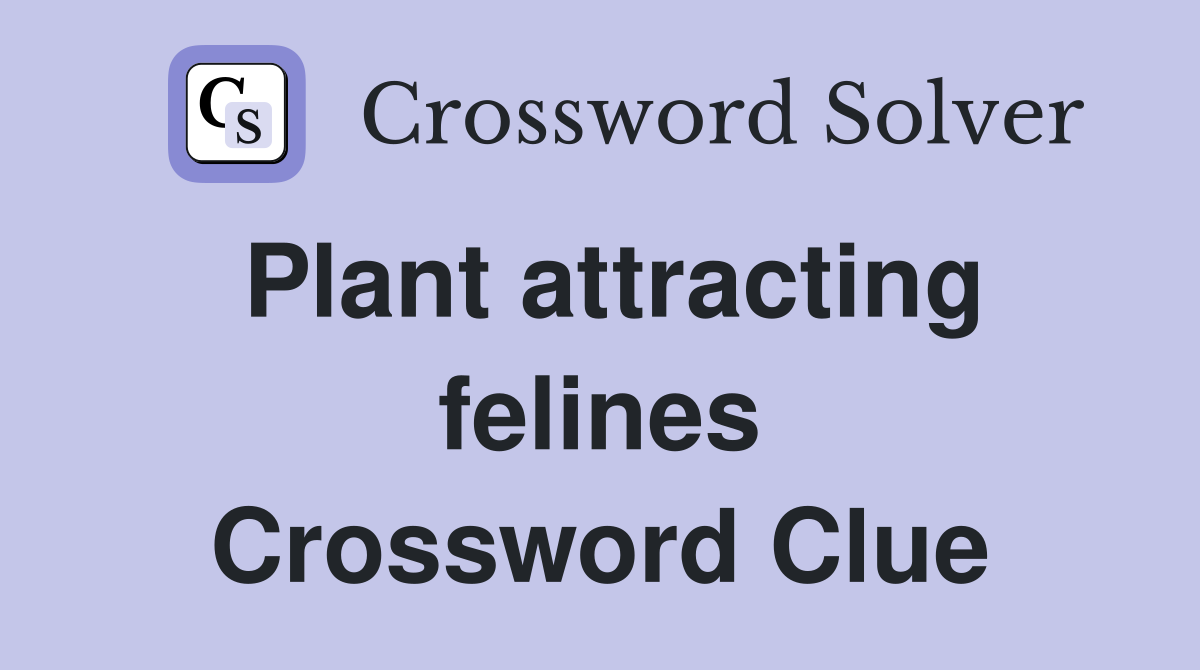 Plant attracting felines Crossword Clue