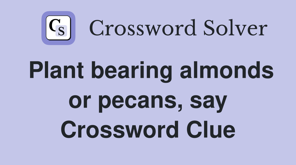 Plant bearing almonds or pecans, say Crossword Clue