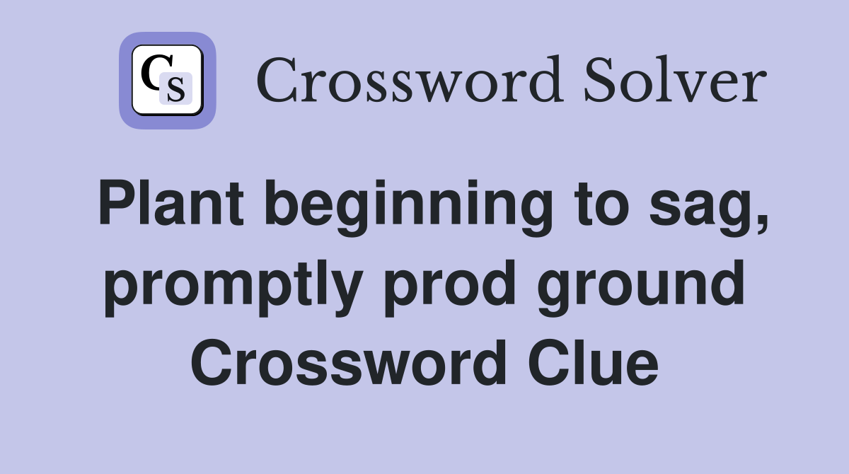Plant beginning to sag, promptly prod ground Crossword Clue