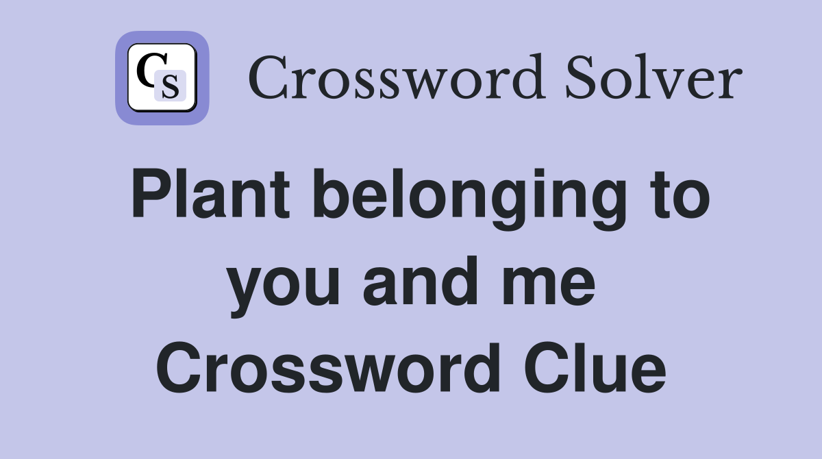 Plant belonging to you and me Crossword Clue