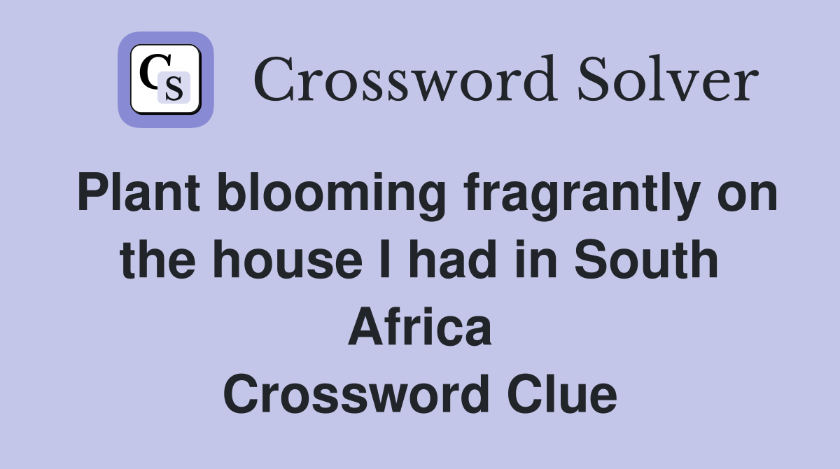 Plant blooming fragrantly on the house I had in South Africa Crossword Clue