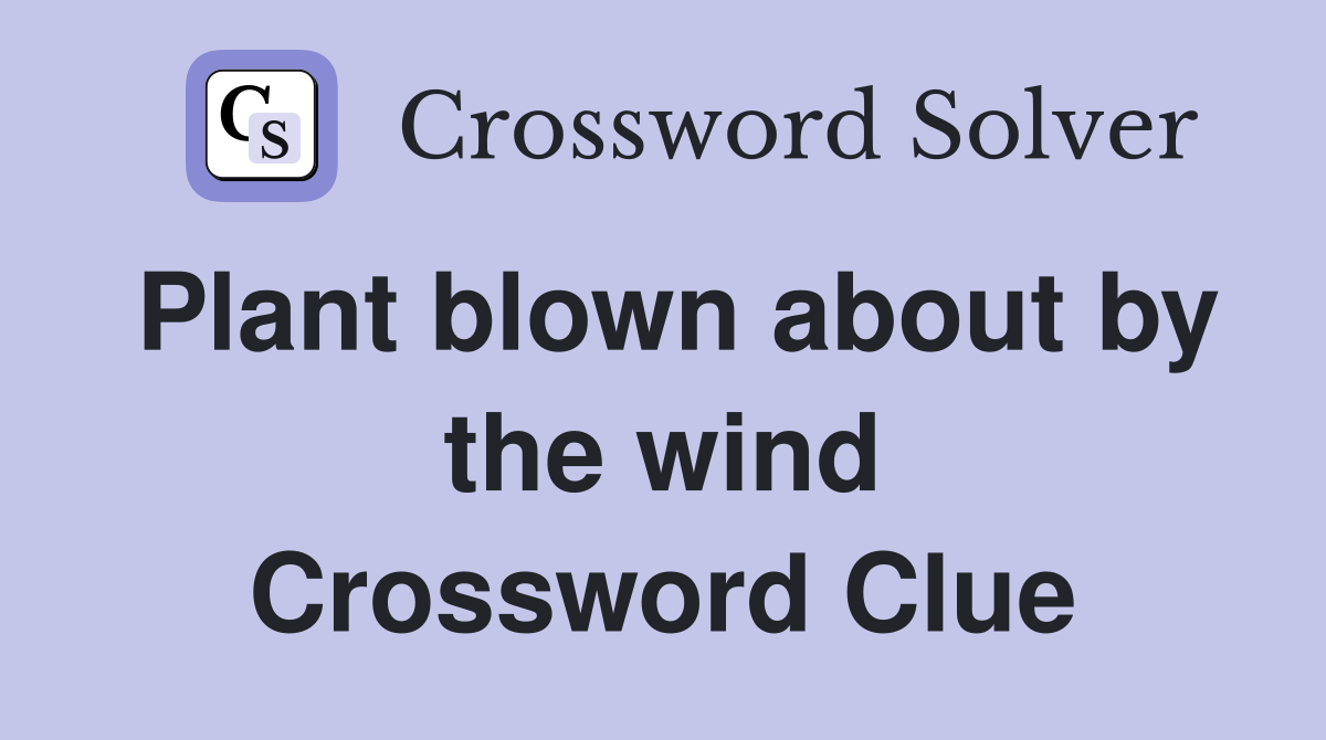 Plant blown about by the wind Crossword Clue