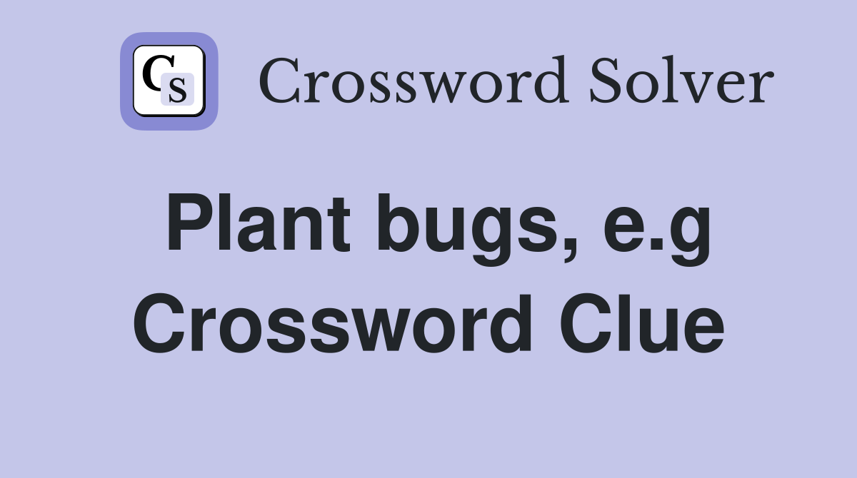 Plant bugs, e.g Crossword Clue