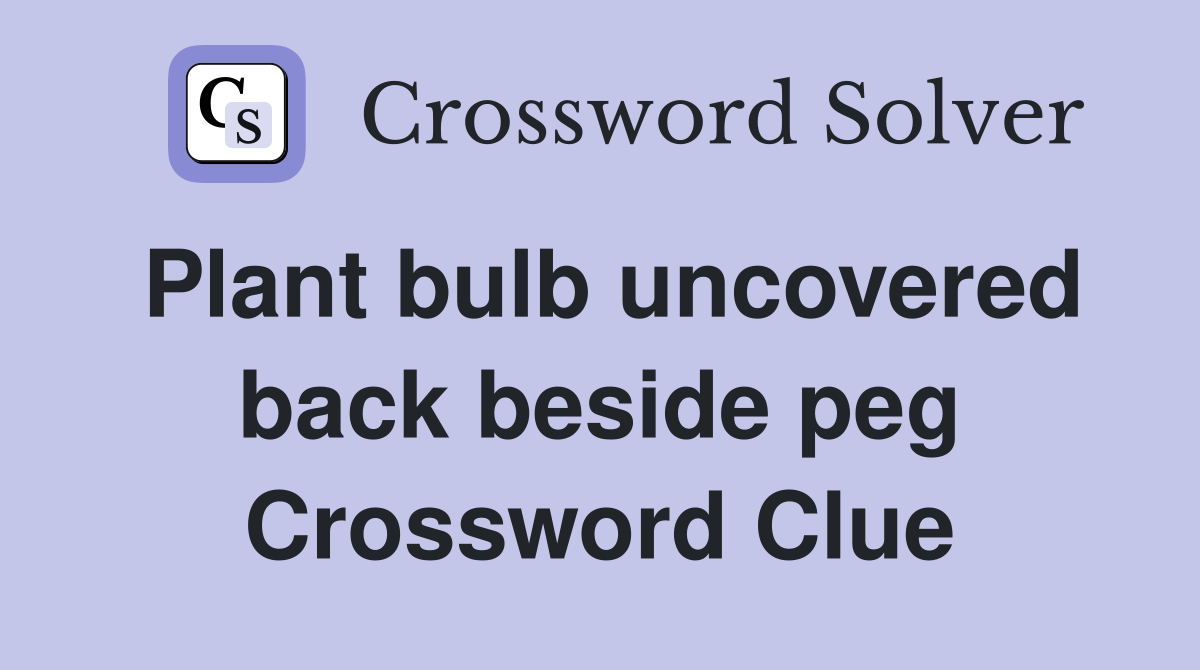 Plant bulb uncovered back beside peg Crossword Clue