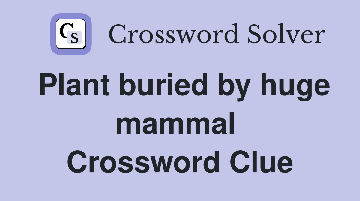 Plant buried by huge mammal  Crossword Clue