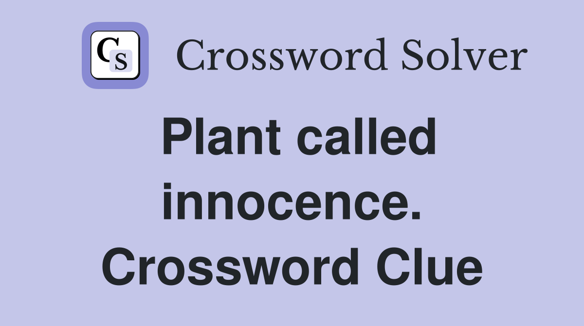 Plant called innocence. Crossword Clue