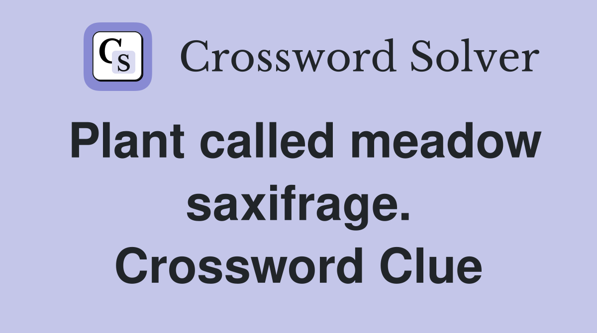 Plant called meadow saxifrage. Crossword Clue