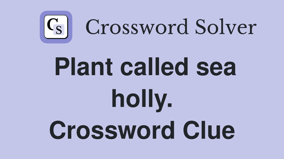Plant called sea holly. Crossword Clue