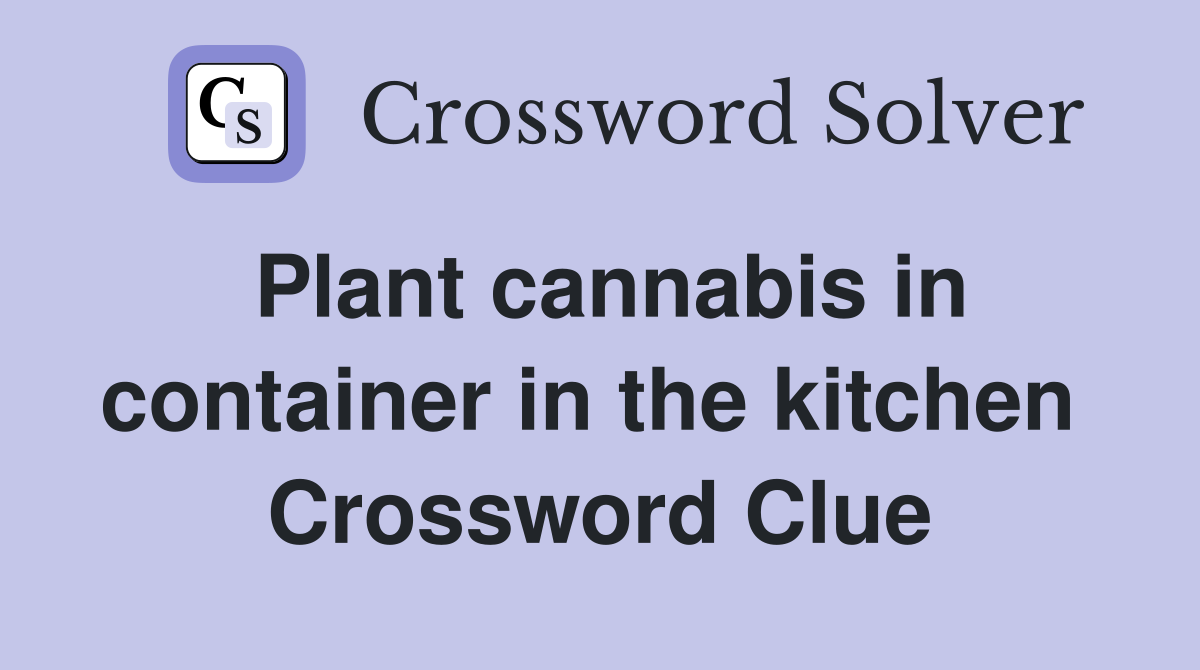 Plant cannabis in container in the kitchen  Crossword Clue