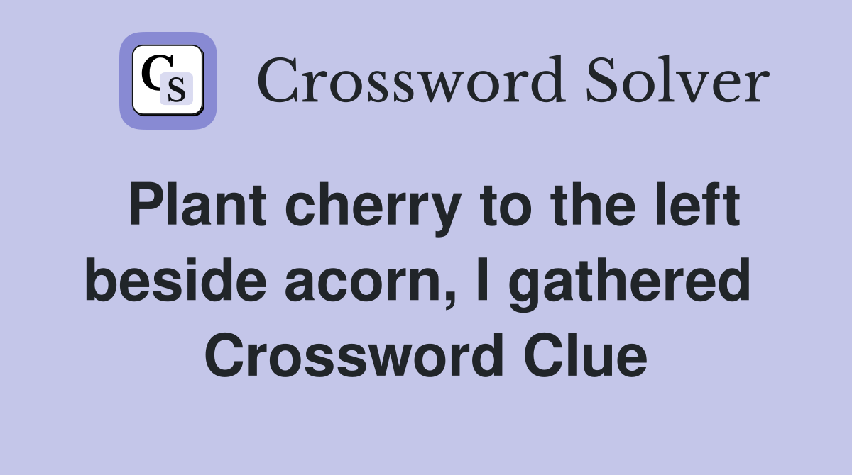 Plant cherry to the left beside acorn, I gathered  Crossword Clue
