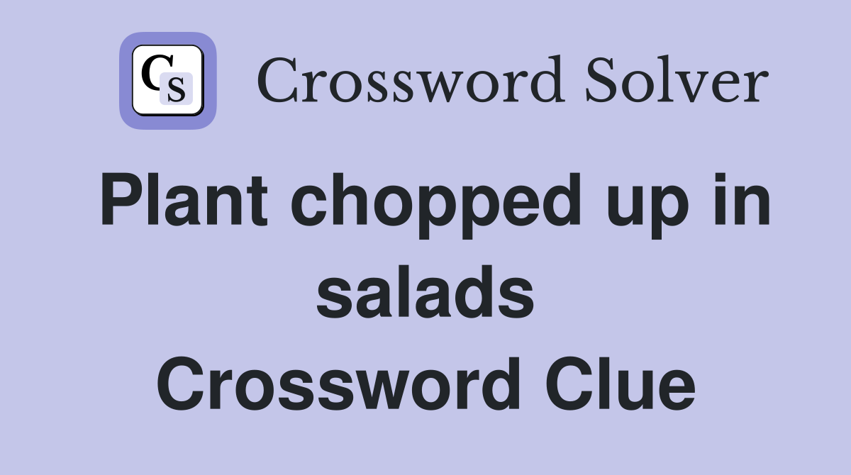 Plant chopped up in salads Crossword Clue