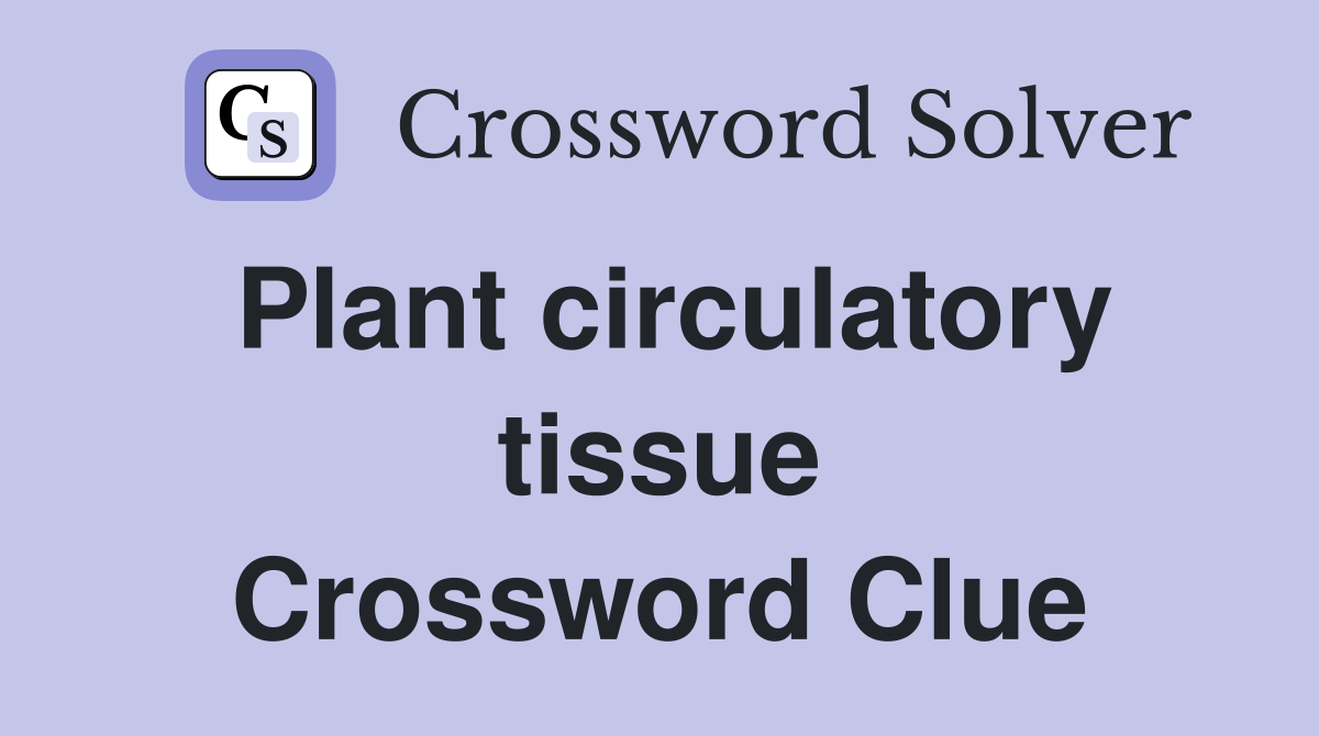 Plant circulatory tissue Crossword Clue