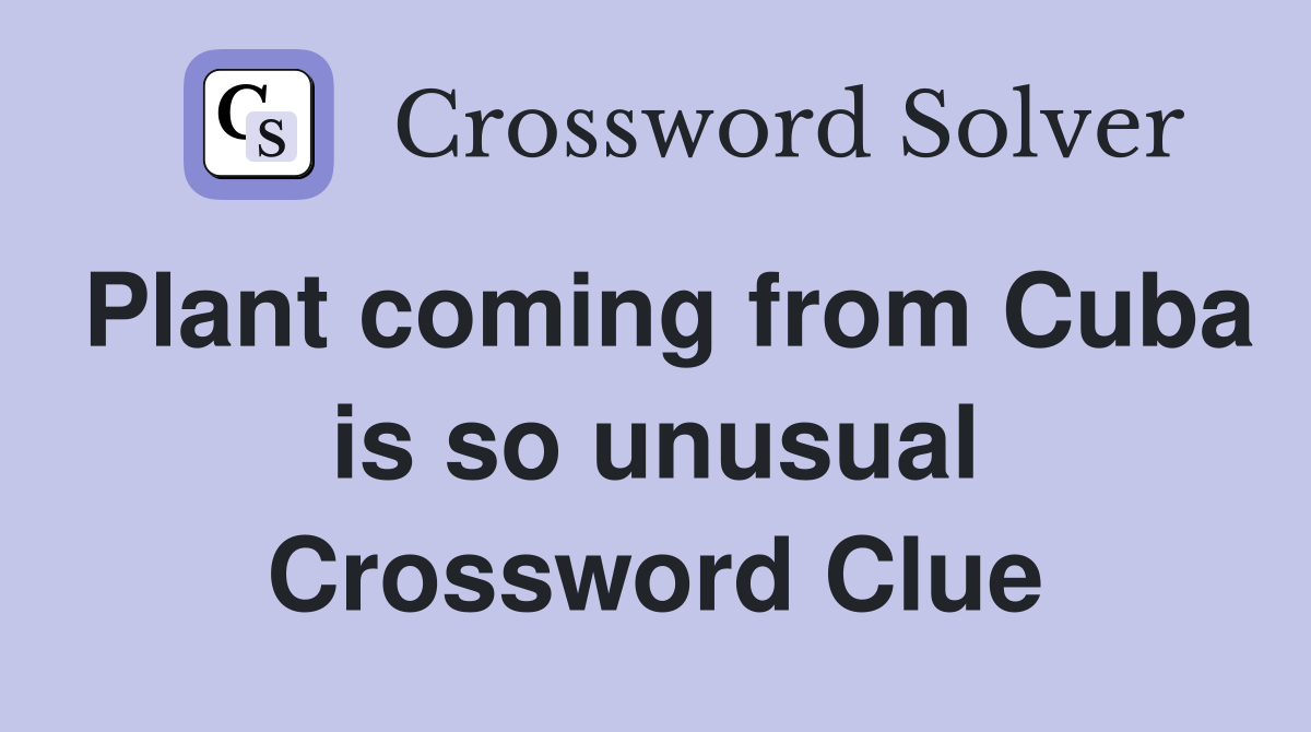 Plant coming from Cuba is so unusual Crossword Clue