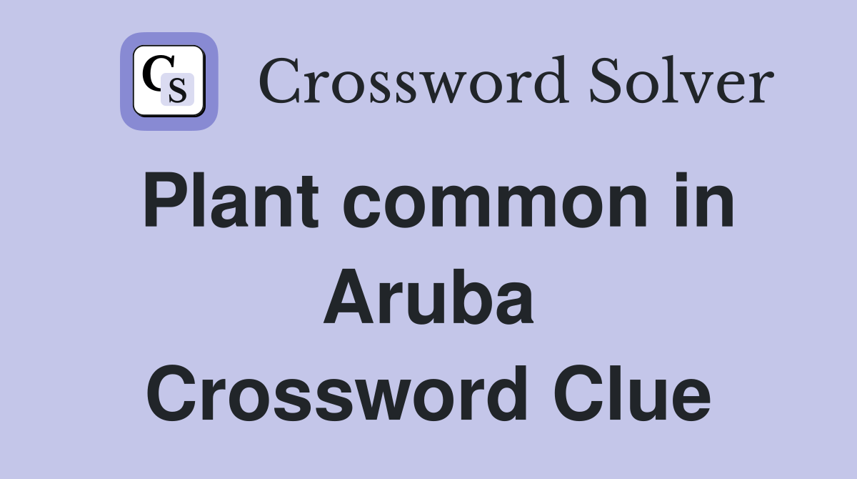 Plant common in Aruba Crossword Clue