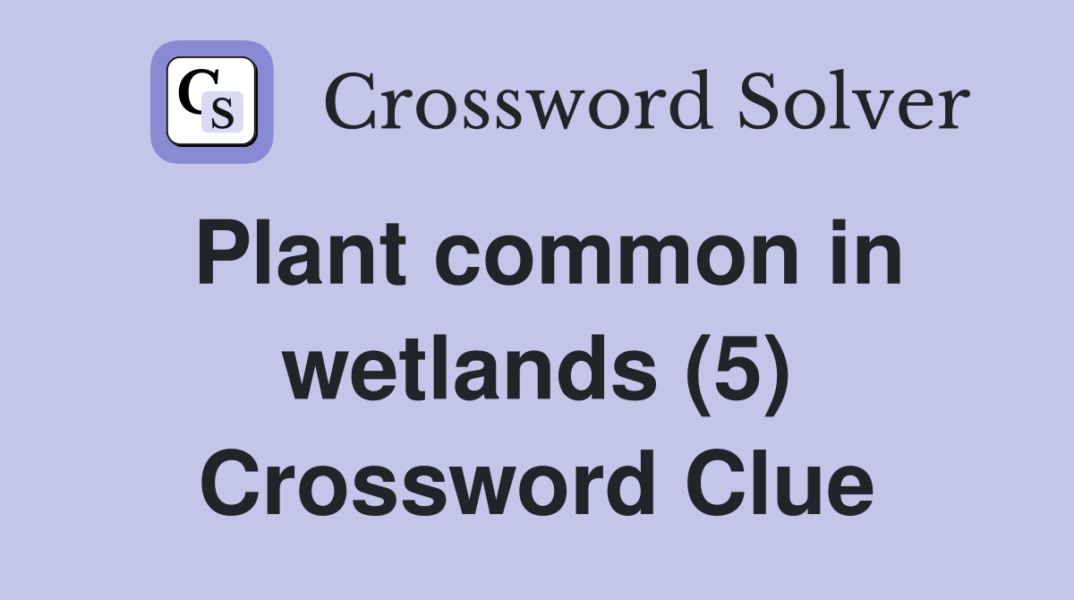 Plant common in wetlands (5) Crossword Clue