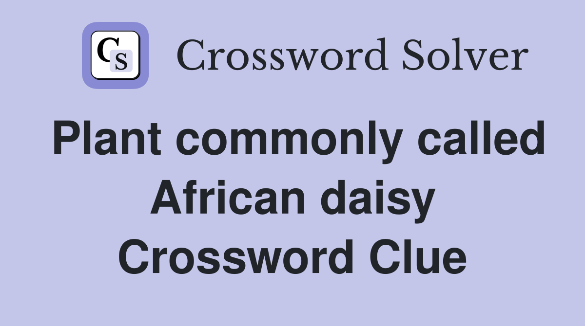 Plant commonly called African daisy Crossword Clue