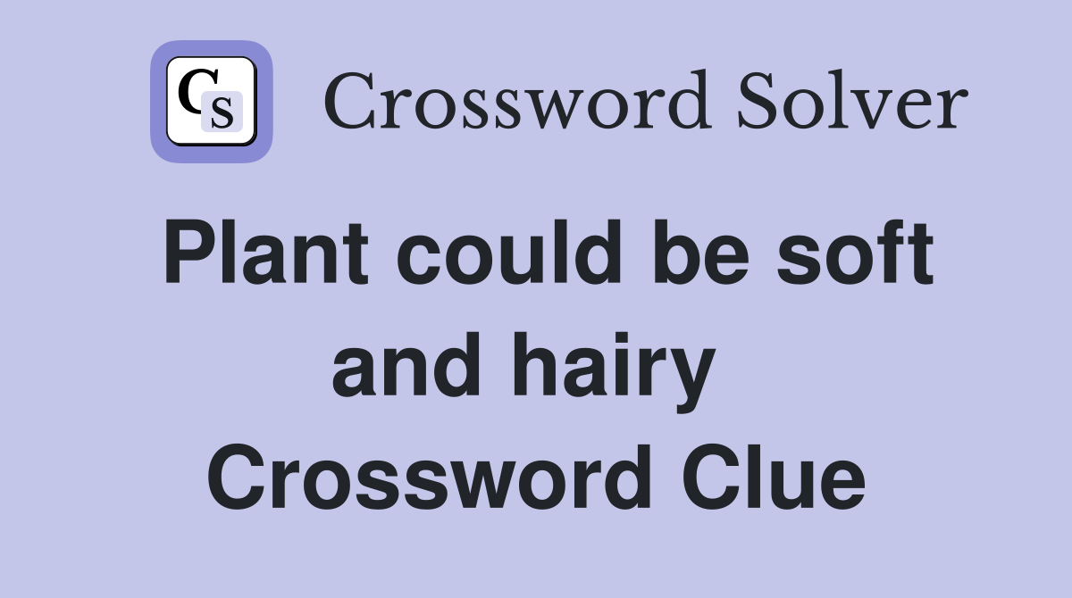 Plant could be soft and hairy  Crossword Clue