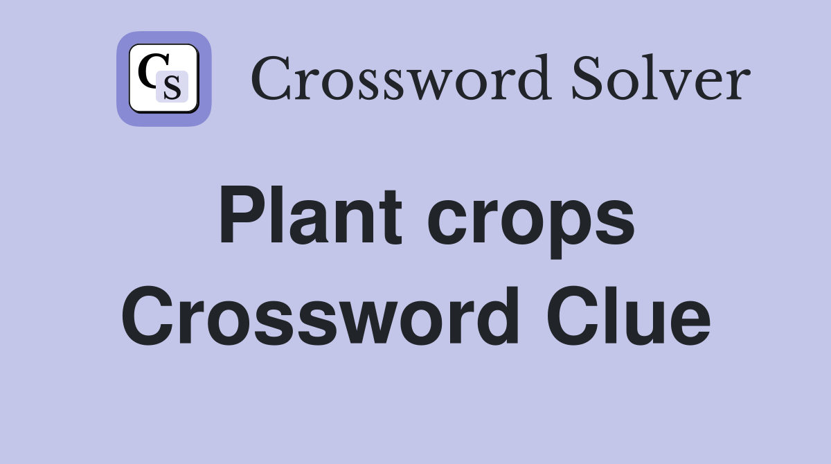 Plant crops Crossword Clue