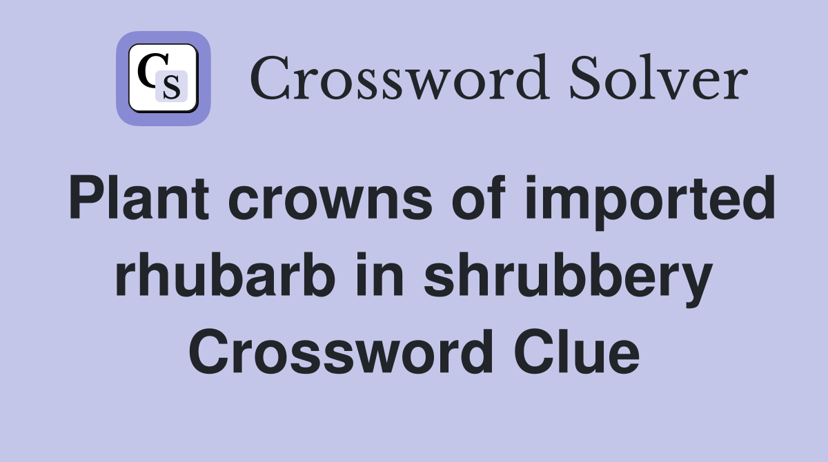 Plant crowns of imported rhubarb in shrubbery Crossword Clue