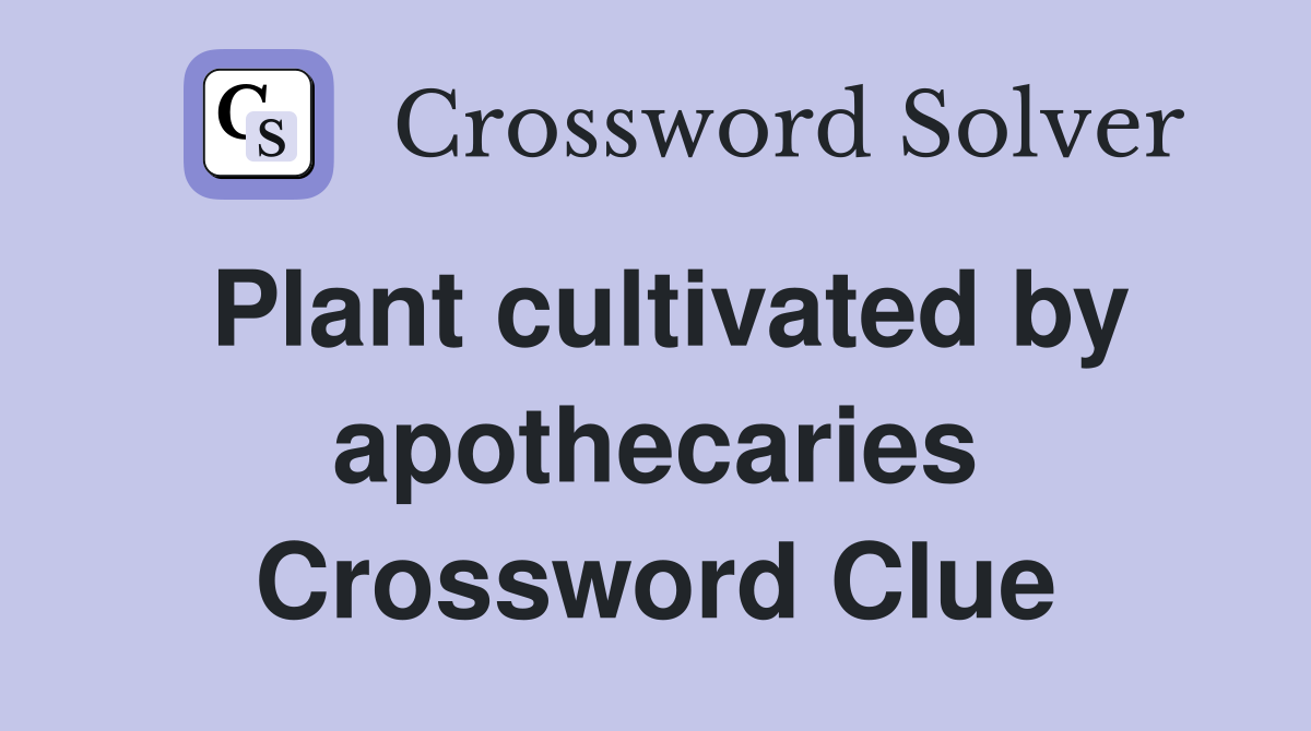Plant cultivated by apothecaries Crossword Clue