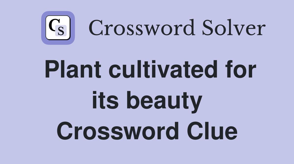 Plant cultivated for its beauty Crossword Clue