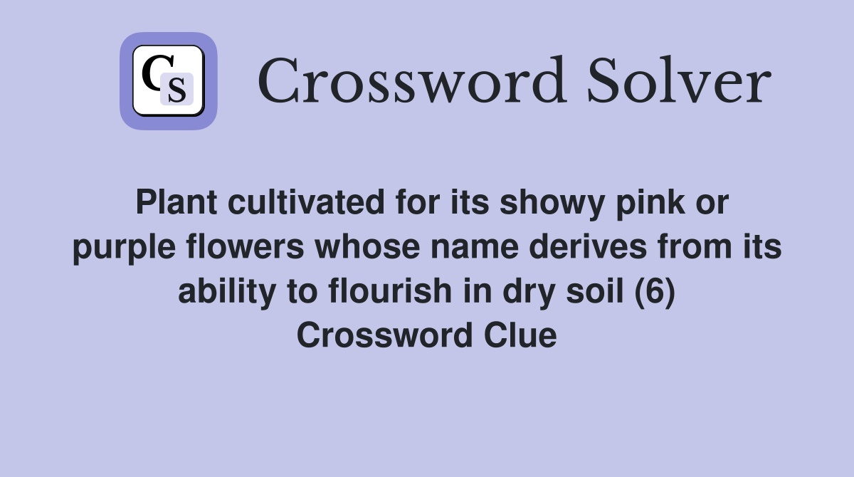 Plant cultivated for its showy pink or purple flowers whose name derives from its ability to flourish in dry soil (6) Crossword Clue