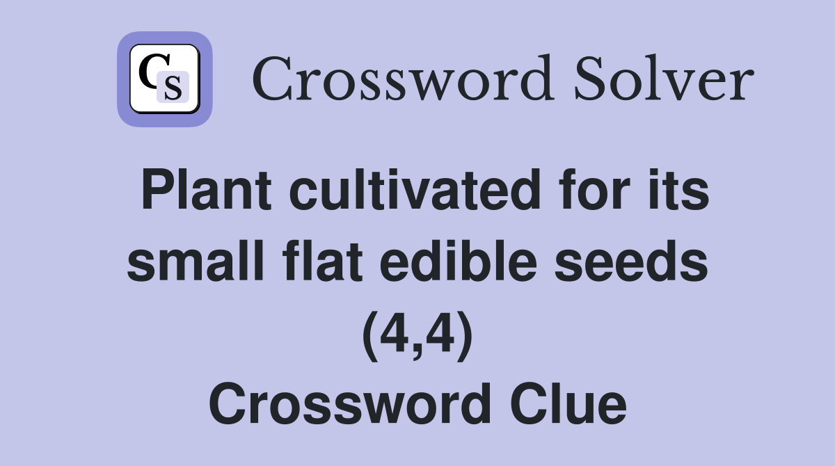 Plant cultivated for its small flat edible seeds (4,4) Crossword Clue