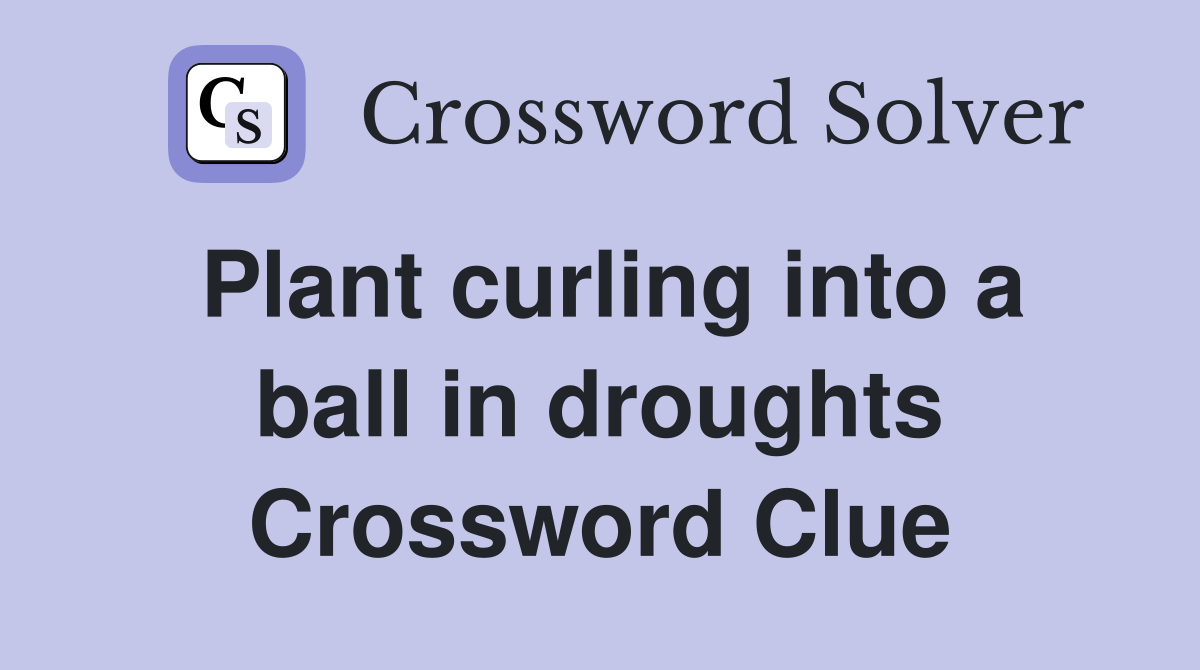 Plant curling into a ball in droughts Crossword Clue