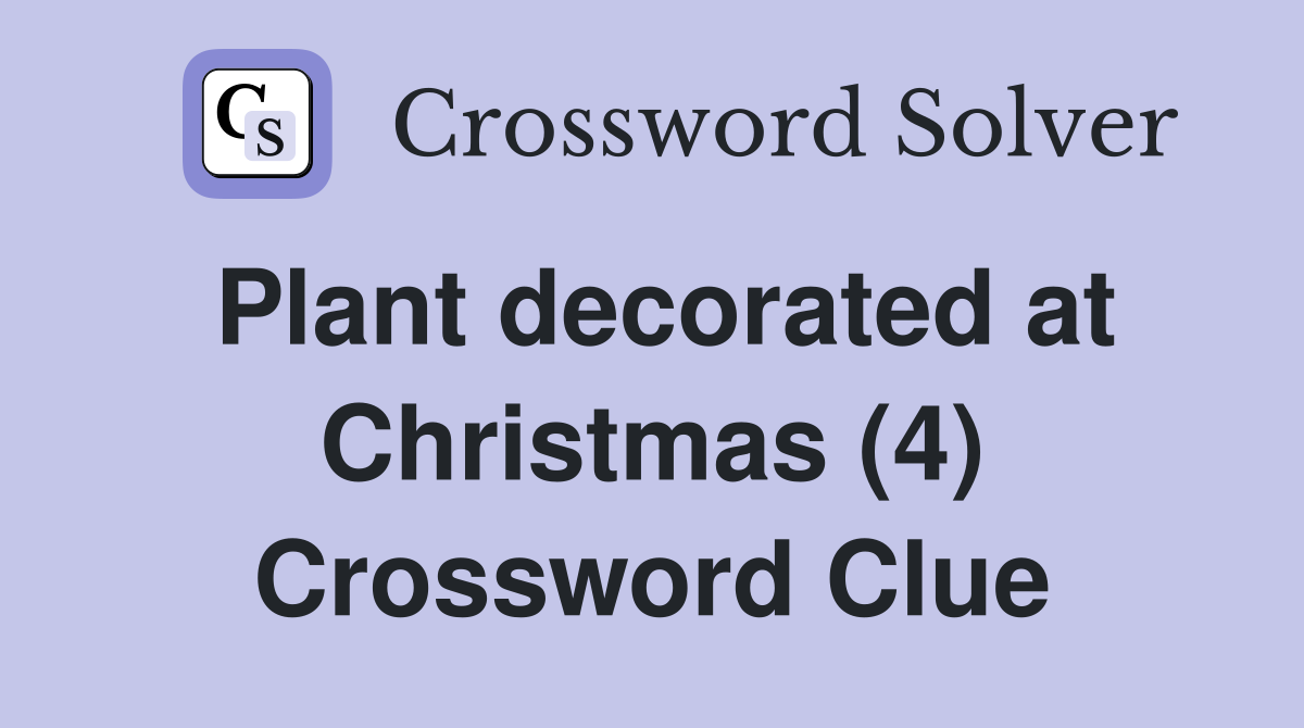 Plant decorated at Christmas (4) Crossword Clue