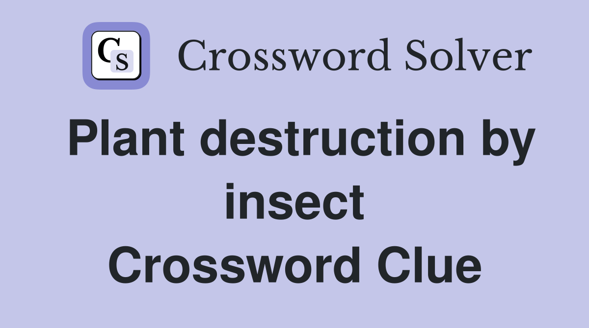 Plant destruction by insect Crossword Clue