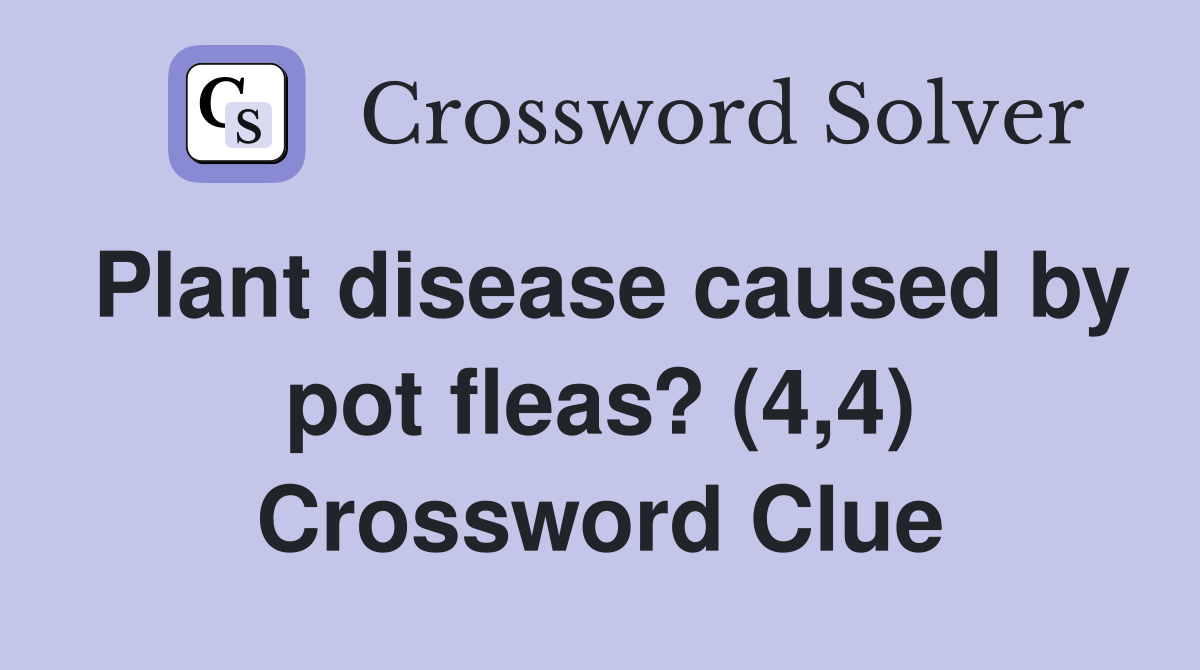 Plant disease caused by pot fleas? (4,4) Crossword Clue