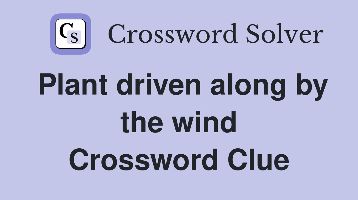 Plant driven along by the wind Crossword Clue
