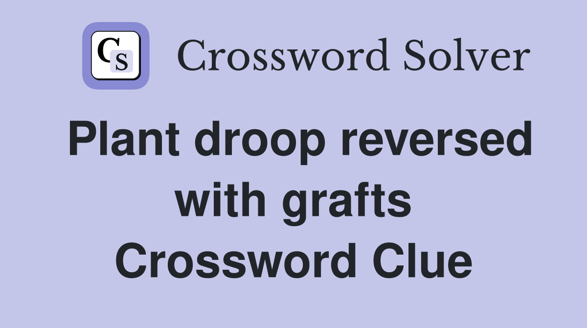 Plant droop reversed with grafts Crossword Clue