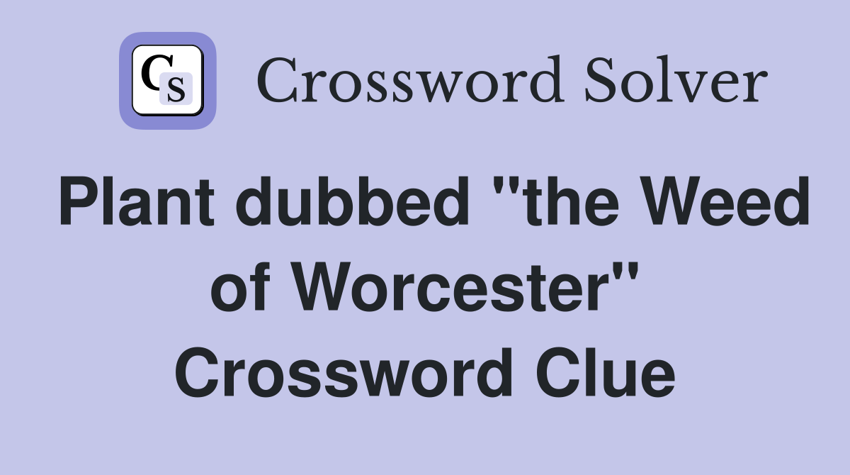 Plant dubbed "the Weed of Worcester" Crossword Clue