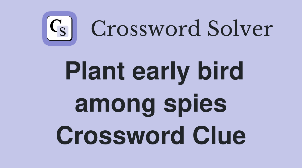 Plant early bird among spies Crossword Clue