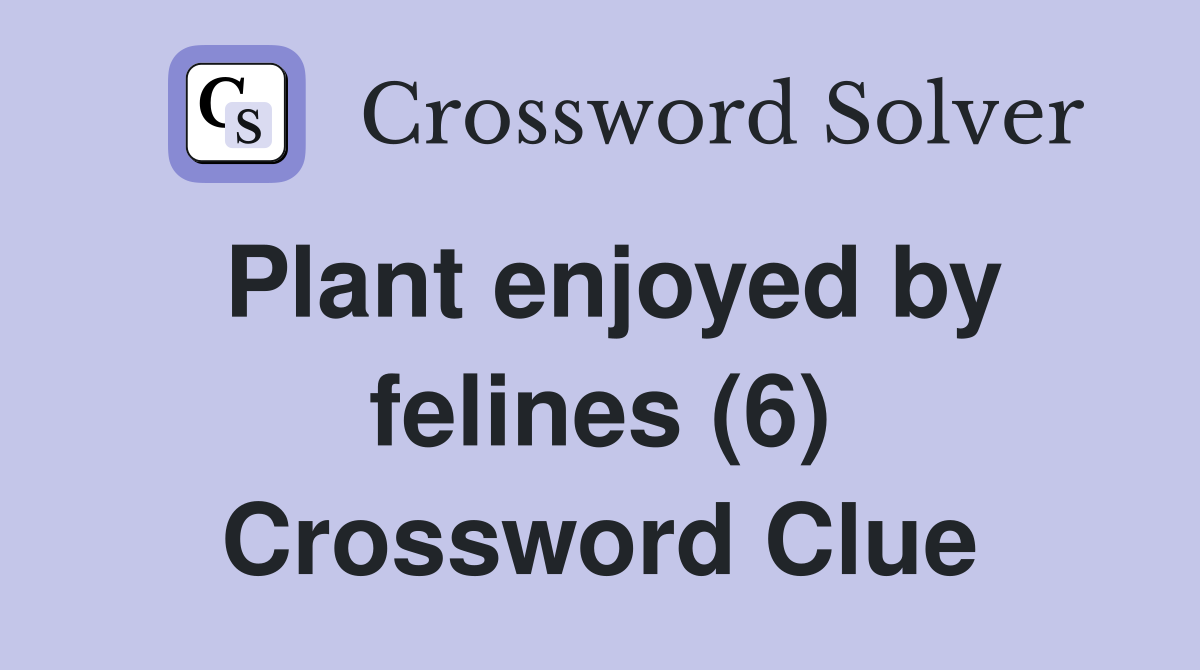 Plant enjoyed by felines (6) Crossword Clue