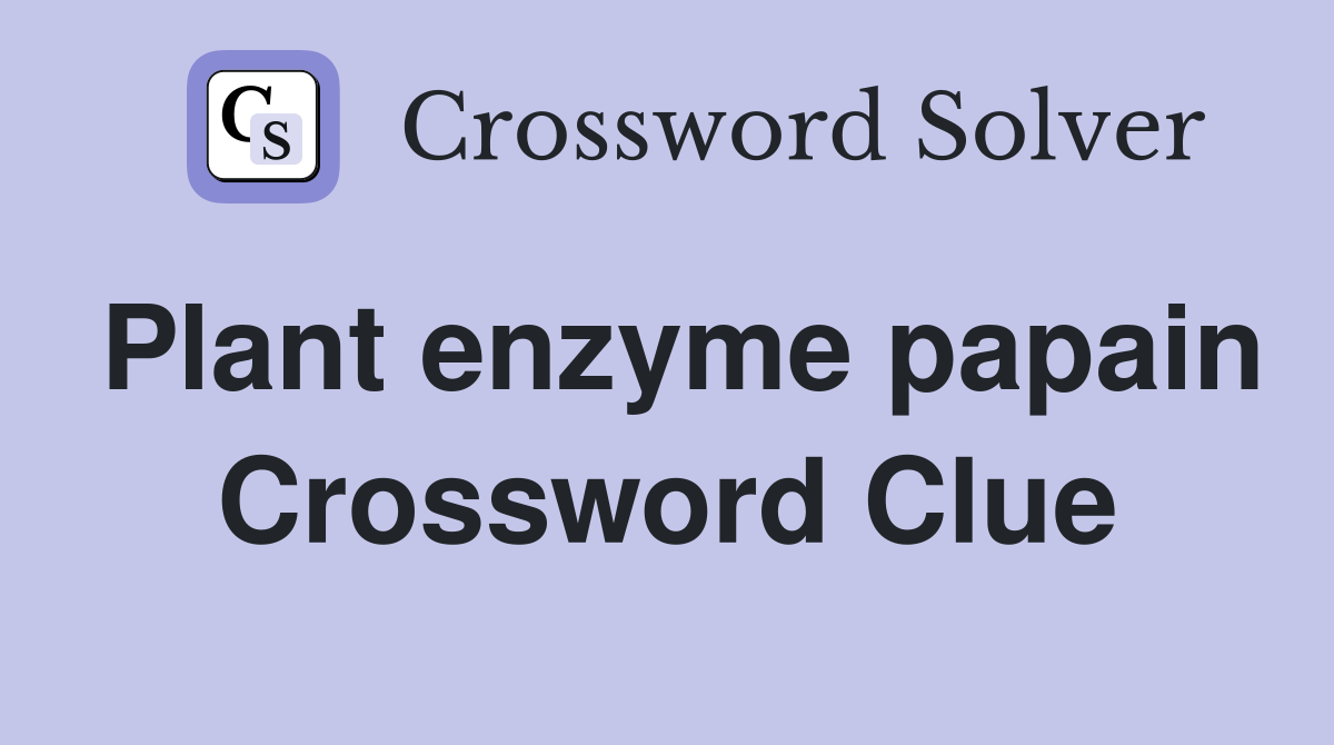 Plant enzyme papain Crossword Clue