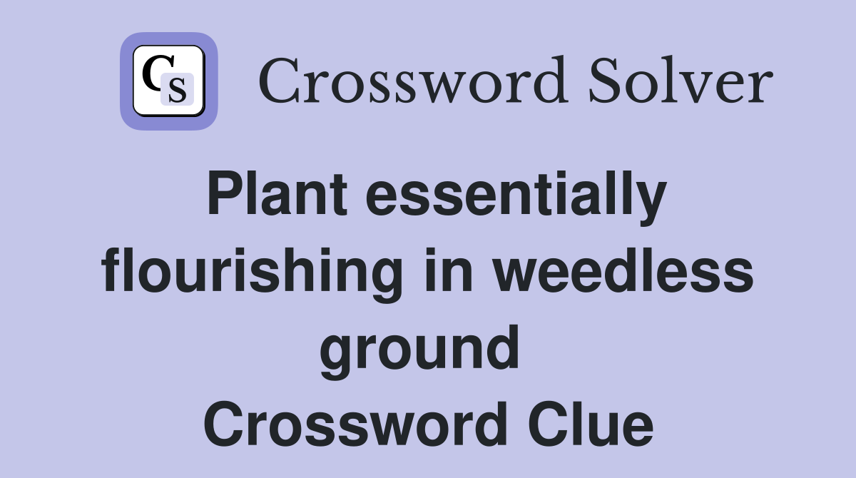 Plant essentially flourishing in weedless ground  Crossword Clue